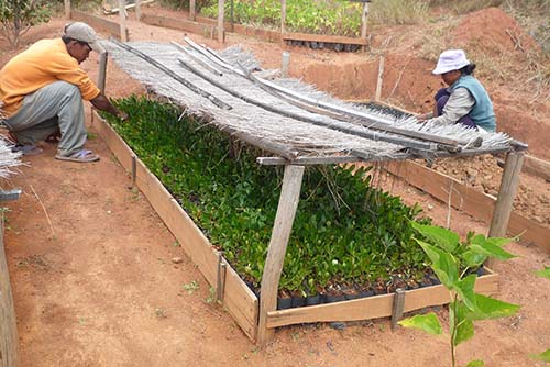 Missions biodiversité volontariat