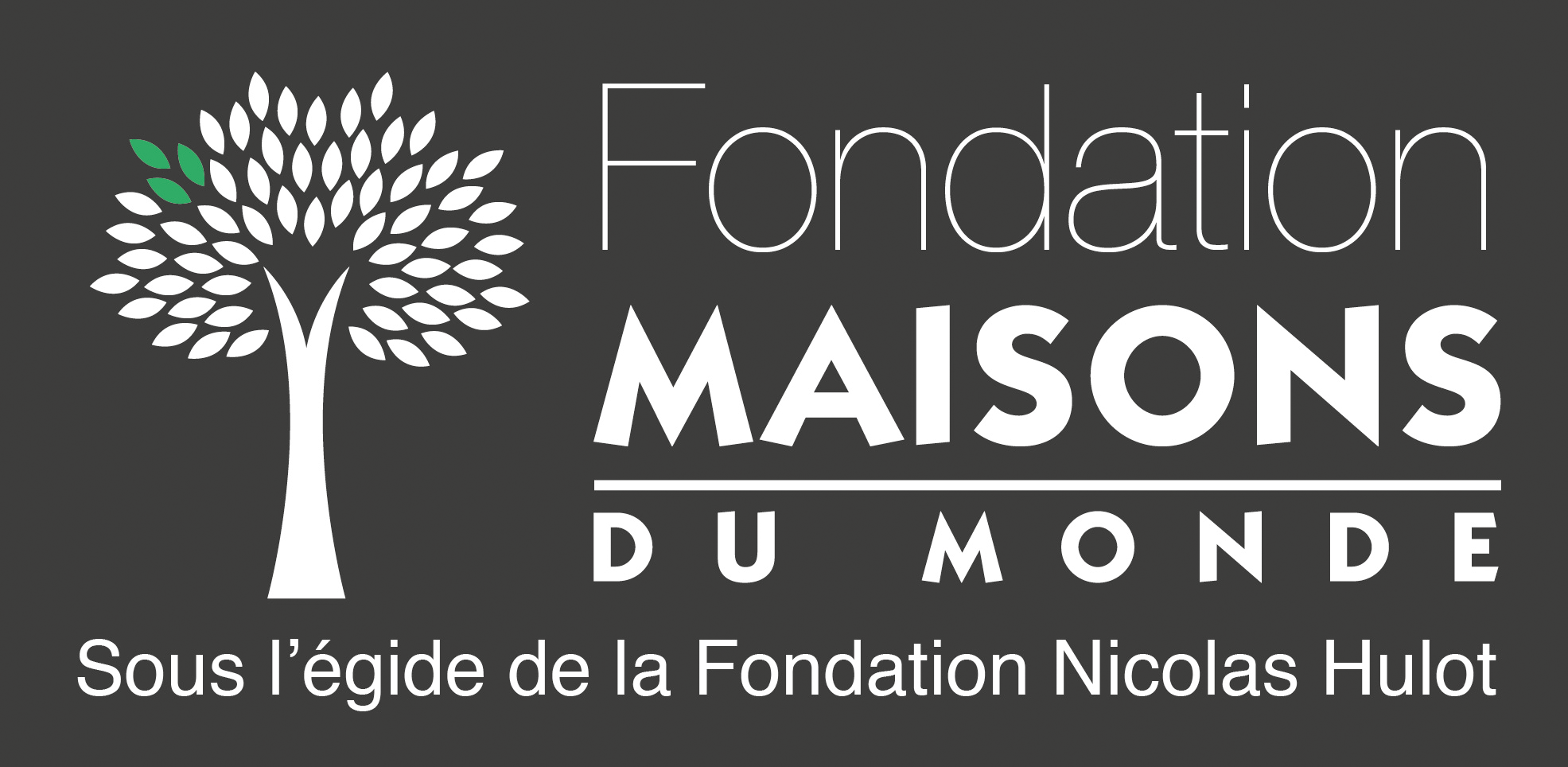 Logo Fondation MDM - PNG