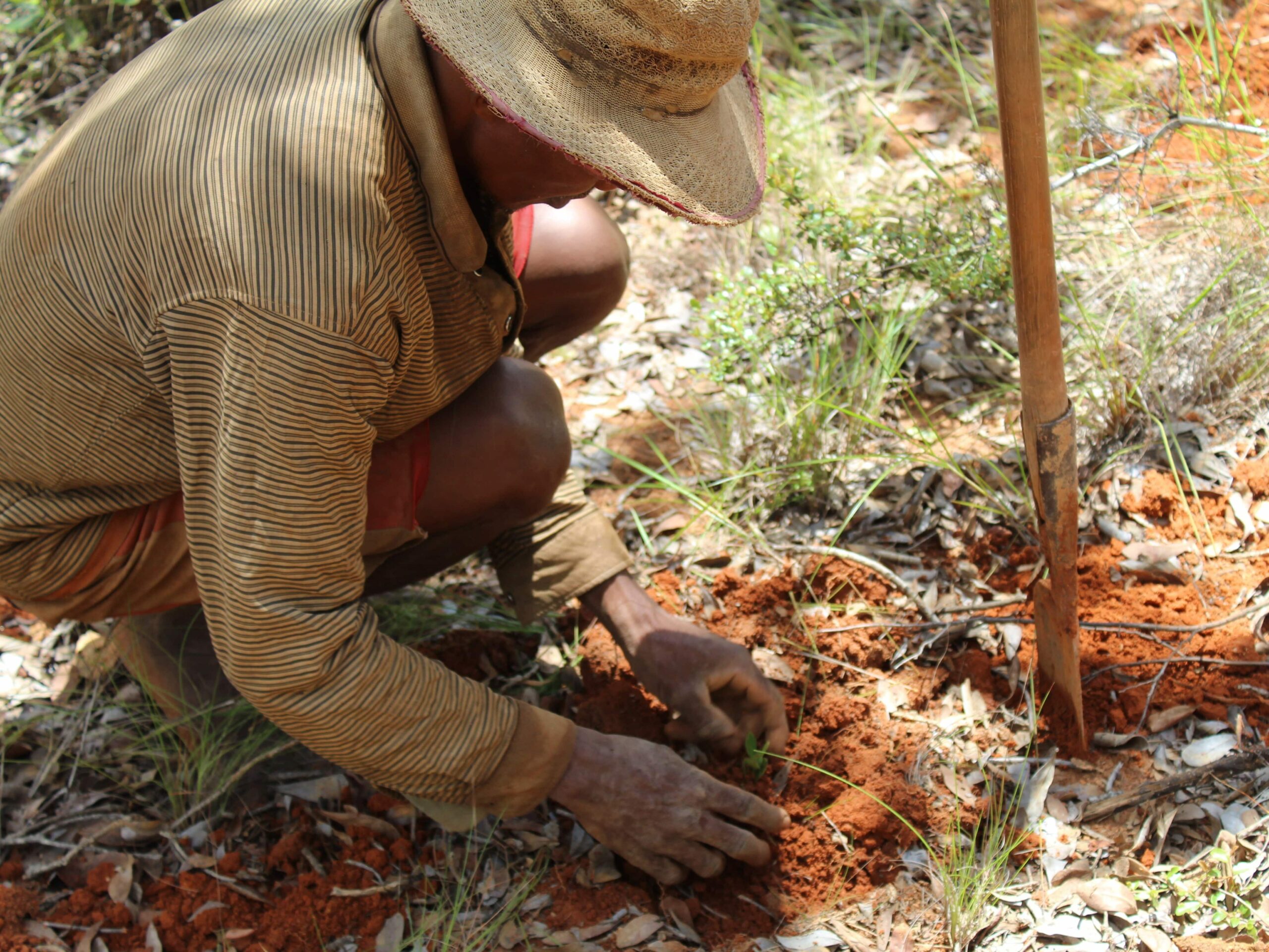 [Activity report] 2020: year of resilience for Planète Urgence