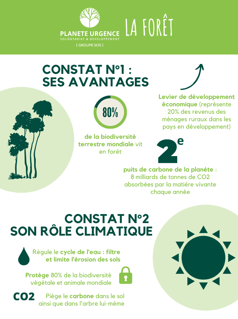 infographie des forêts - Planète Urgence