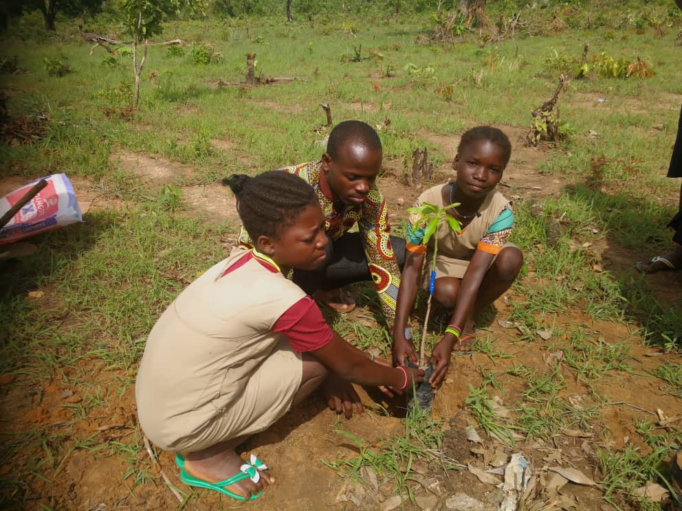 Planète Education, a new project to raise children's awareness of the environment