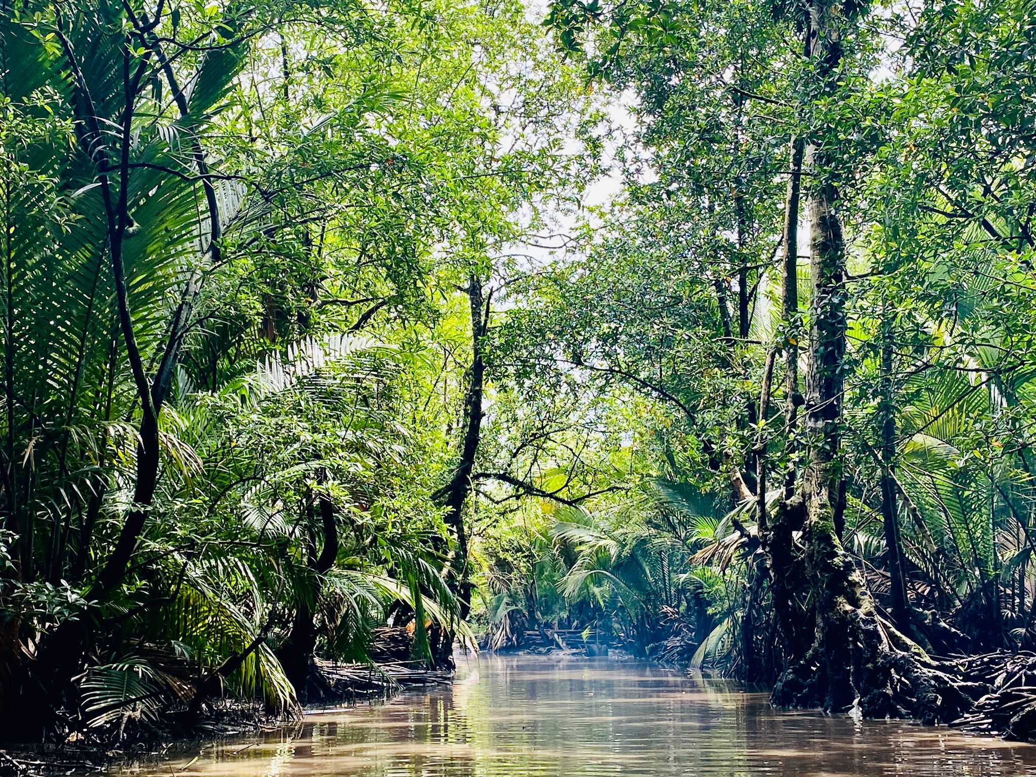 Why does Planète Urgence act concretely for the preservation of mangroves?