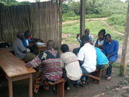 Renforcement de capacités en gestion de micro-projets.