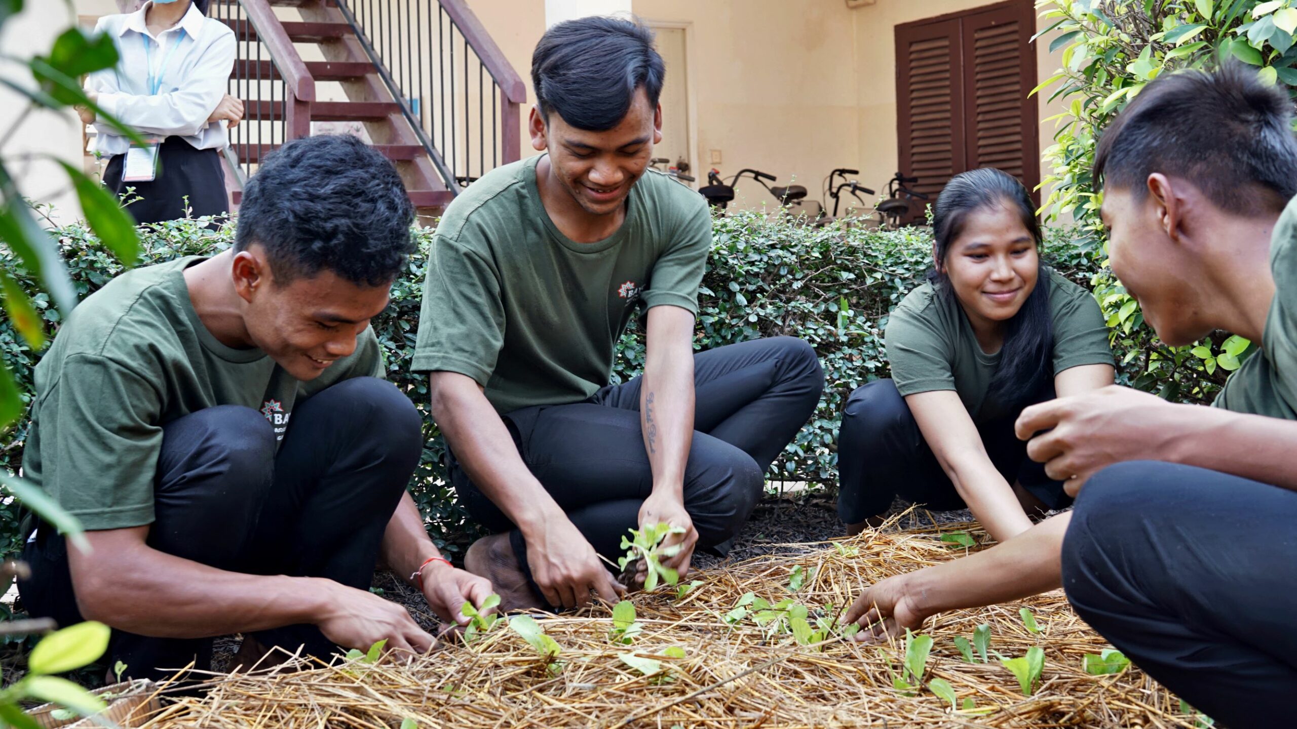 Appui à la création d’une plateforme ALUMNI pour les étudiants de la formation agro écologie.