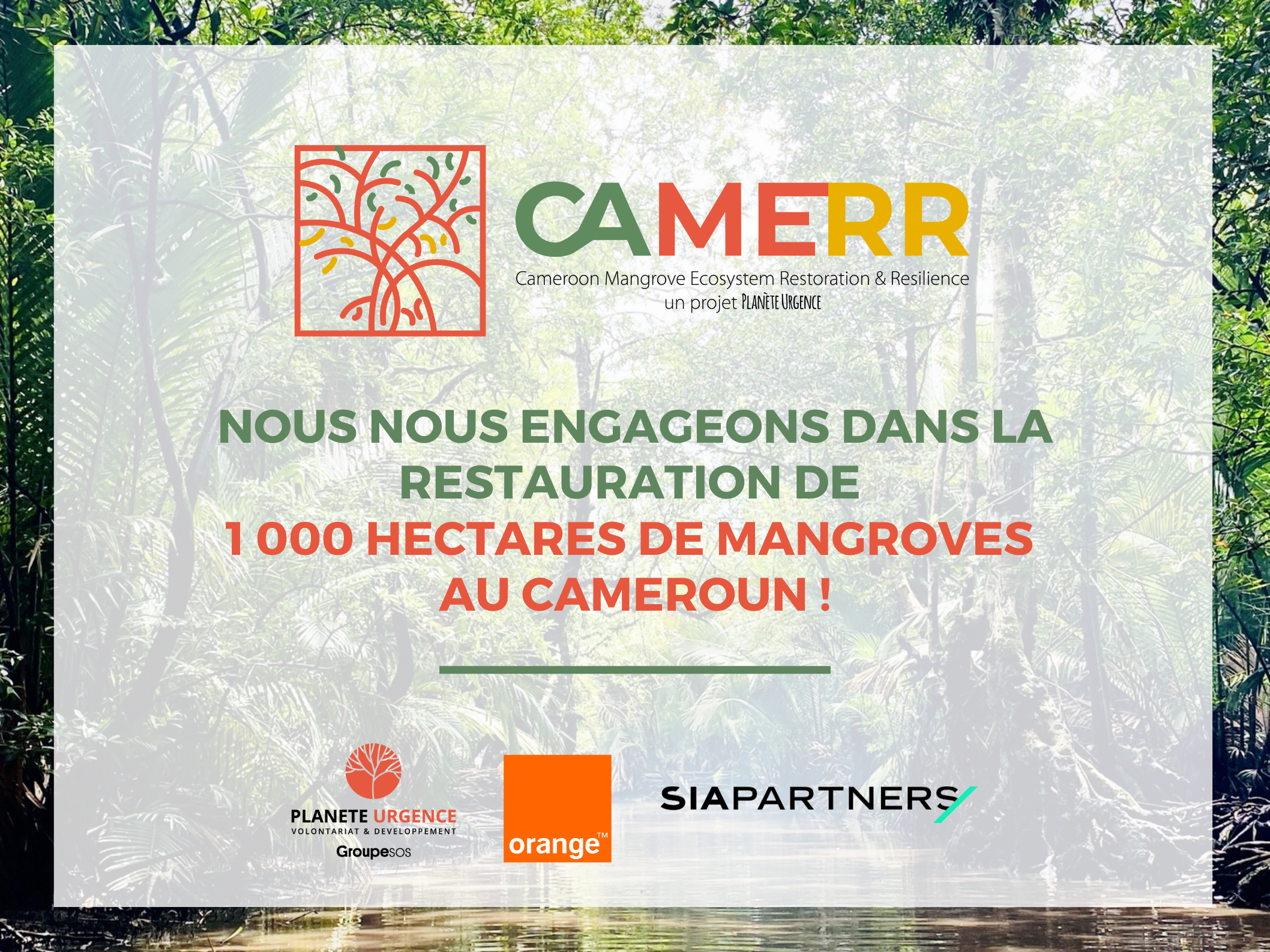 Planète Urgence, le Groupe Orange et Sia Partners lancent le plus grand projet de restauration de mangroves au Cameroun