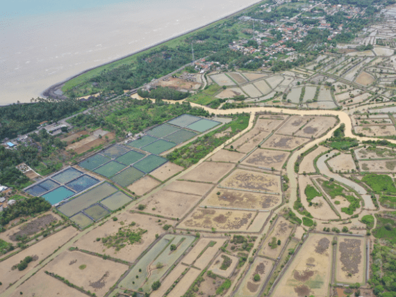 Une aquaculture durable en Indonésie