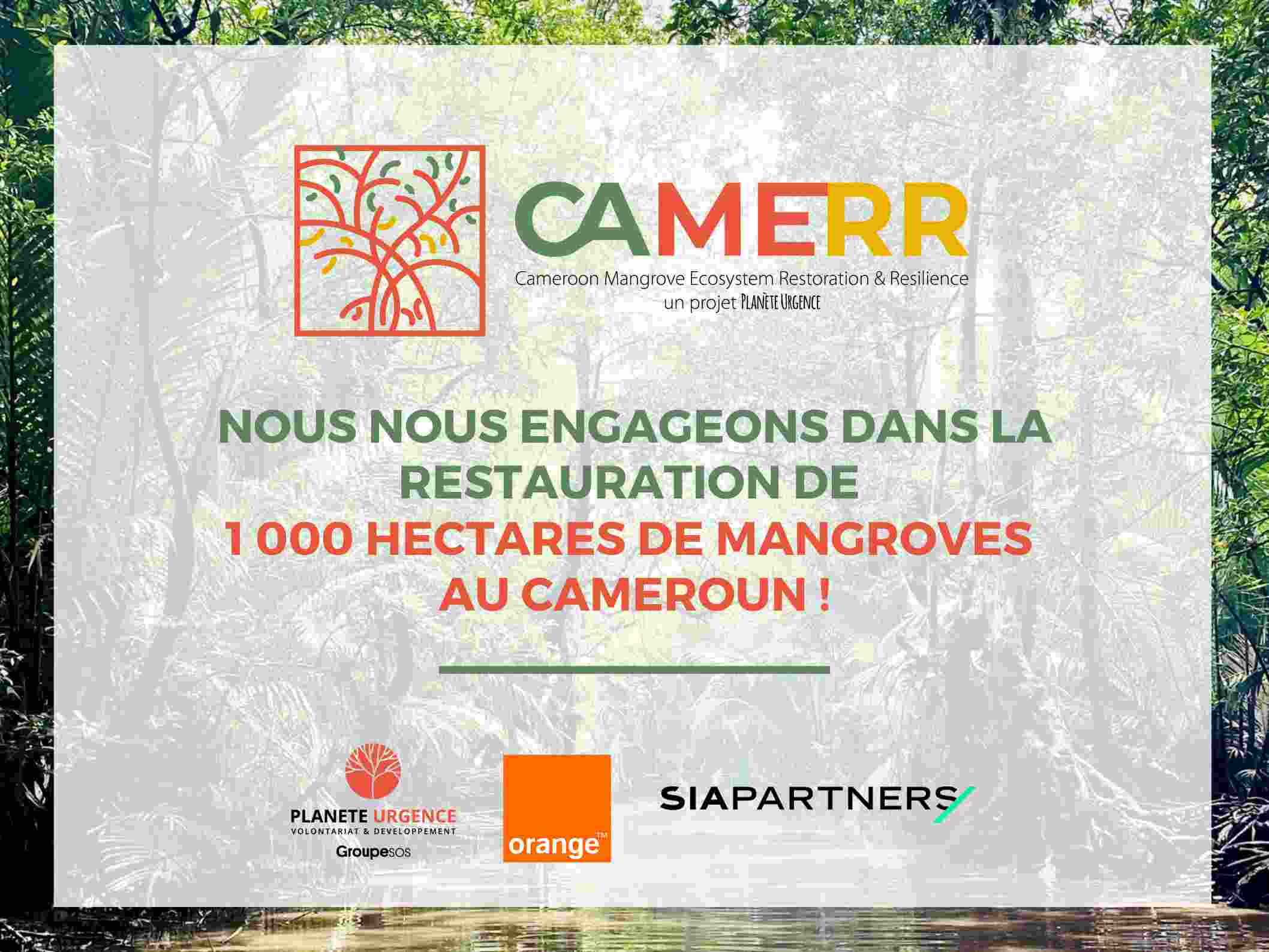 Planète Urgence, le Groupe Orange et Sia Partners lancent le plus grand projet de restauration de mangroves au Cameroun