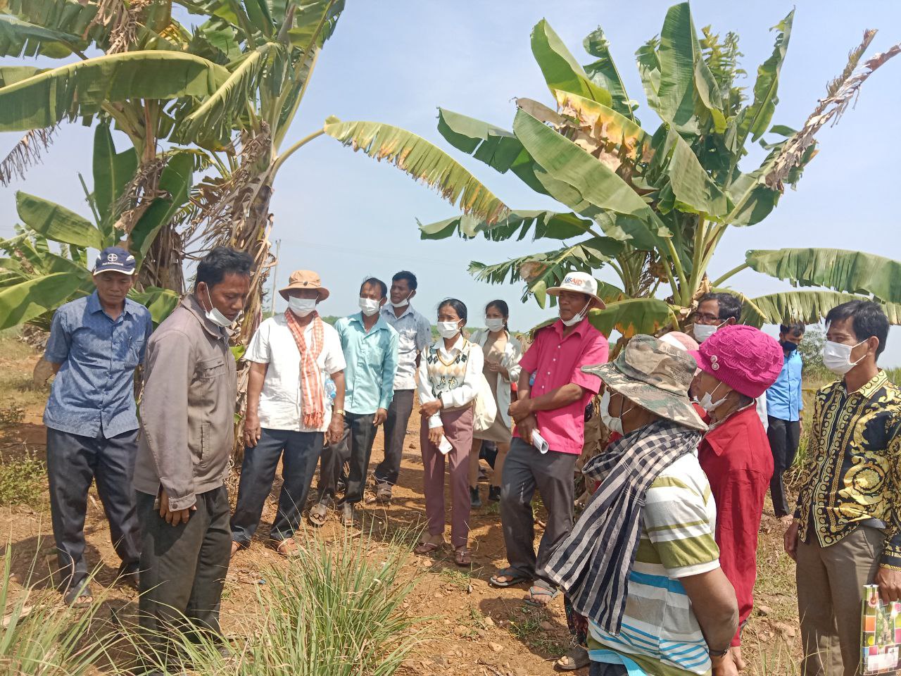 Training on carbon credits mechanism