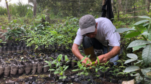 Apoyo para la creación de una guía de educación ambiental para los niños  – EN LIGNE