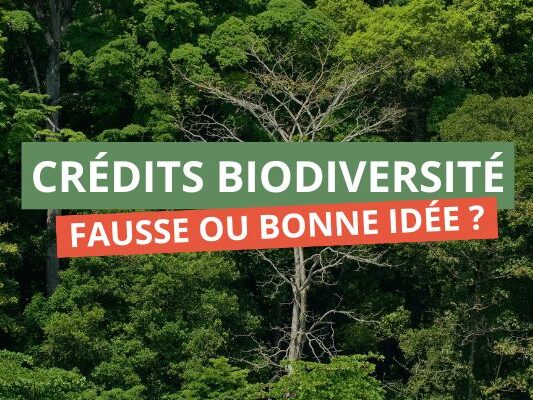 Les crédits biodiversité, fausse ou bonne idée ?