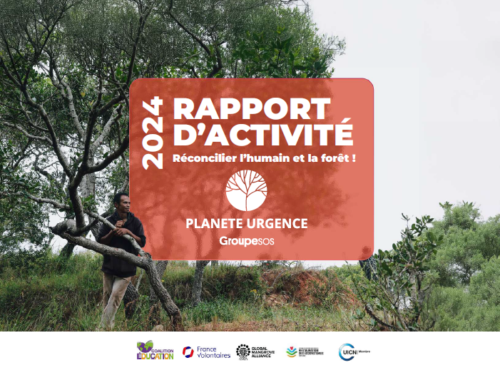 Rapport d’activité 2024 : une mobilisation essentielle pour les forêts et les communautés locales !