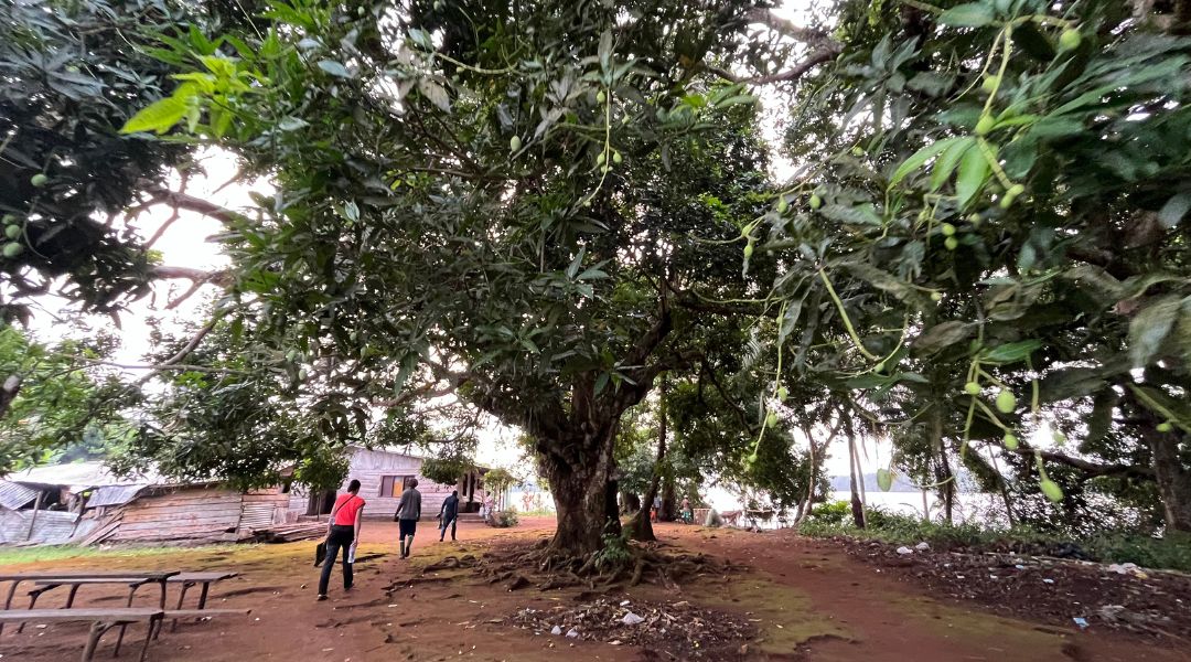 Formation à la gestion durable des déchets