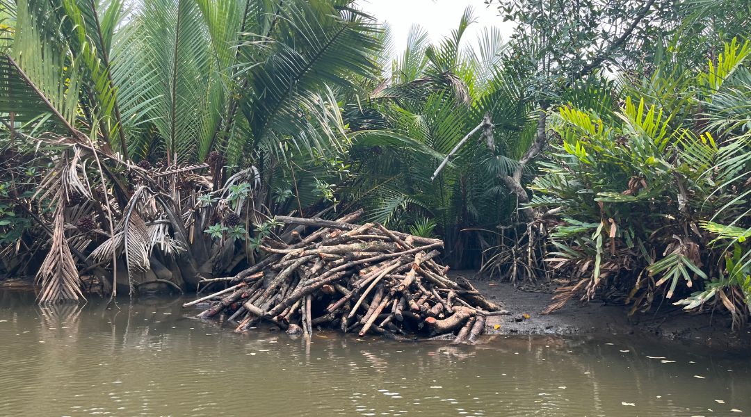 Formation à la fabrication de charbon de bois.