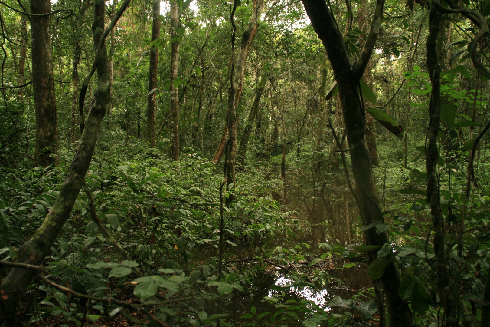 Formation à l’élaboration d’un Modèle Économique de type associatif
