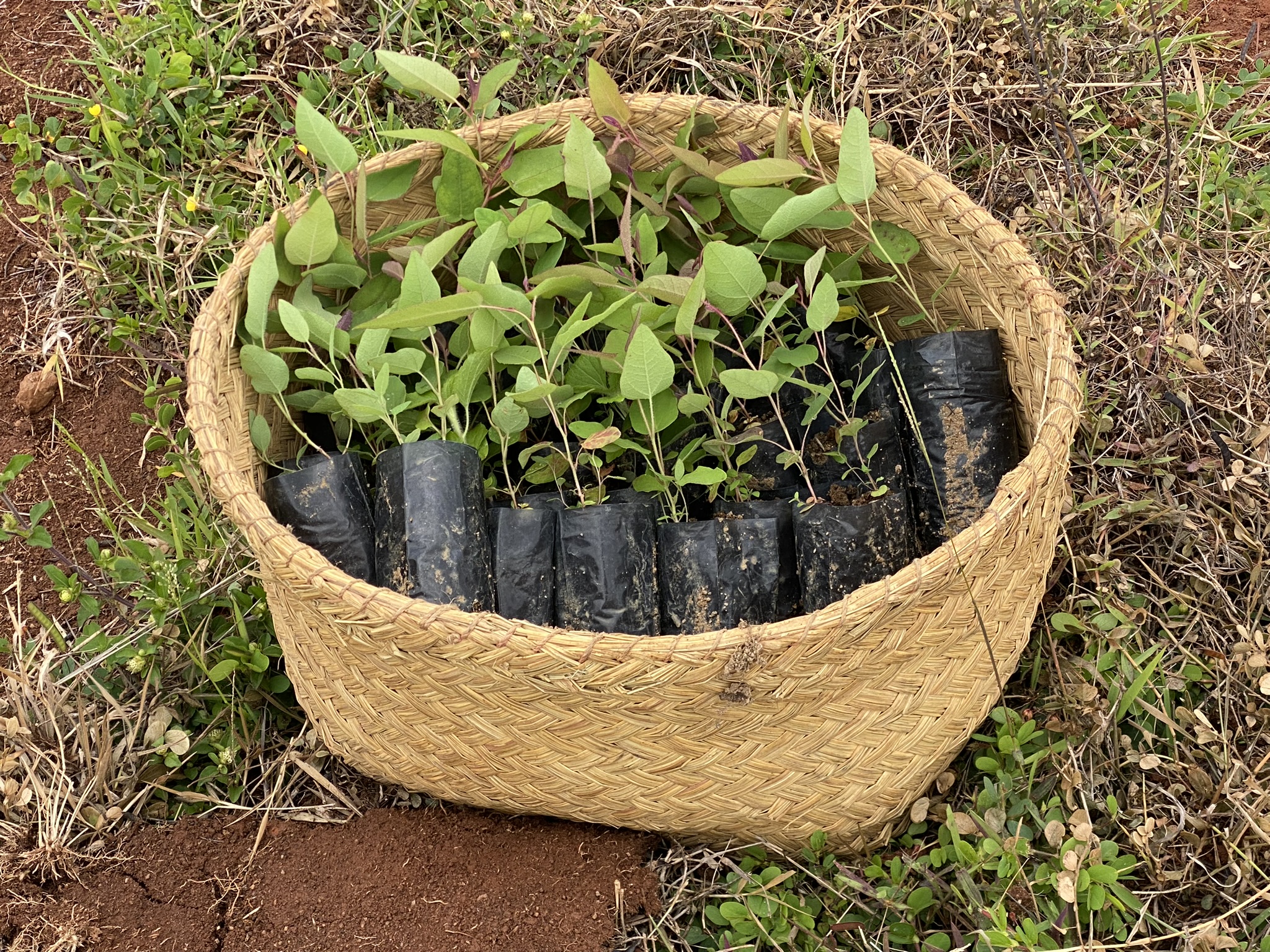 Formation en recherche de financement (identification et mobilisation des financeurs)