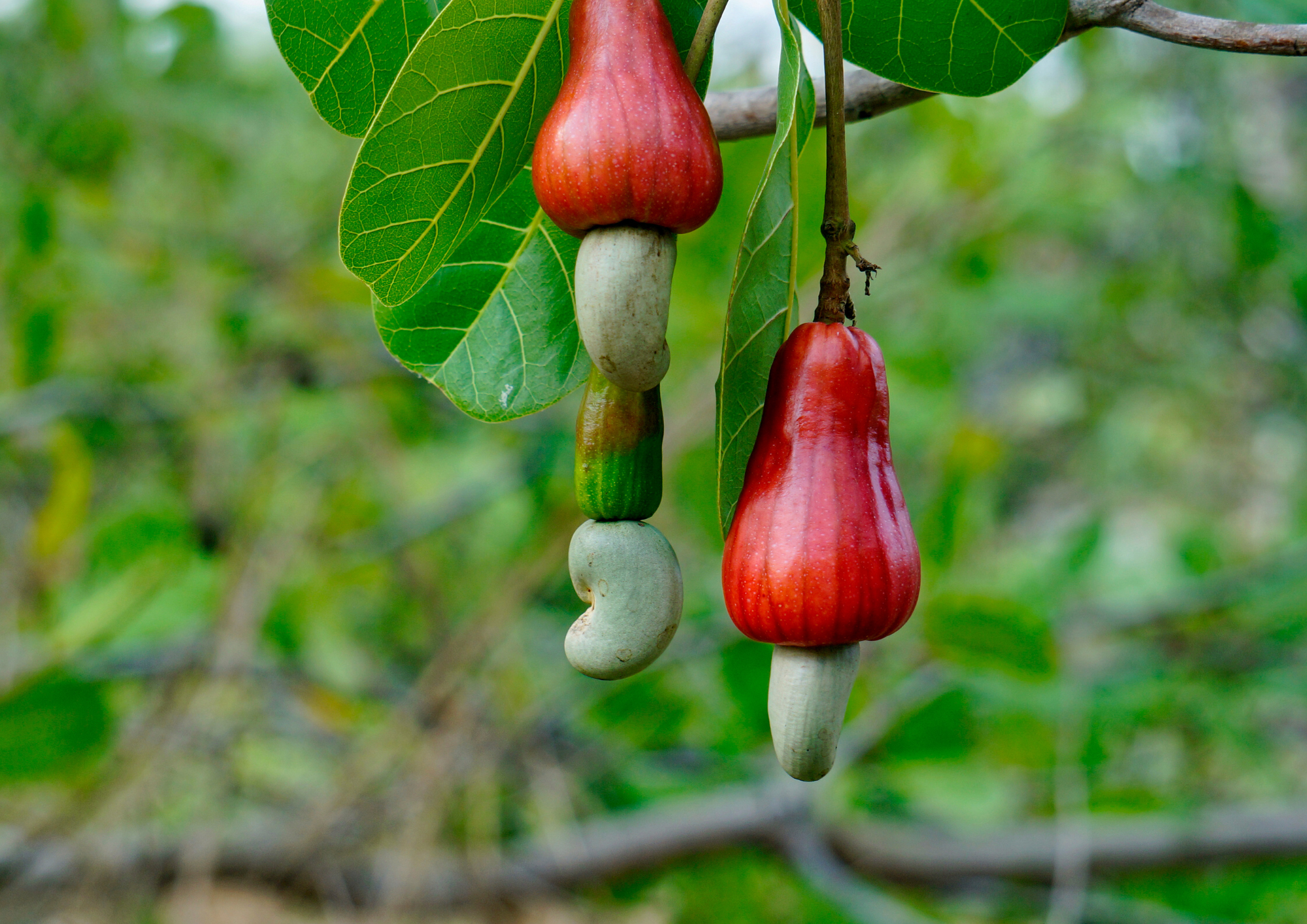 Formation à la création d&rsquo;outils de planification et de pilotage de projets