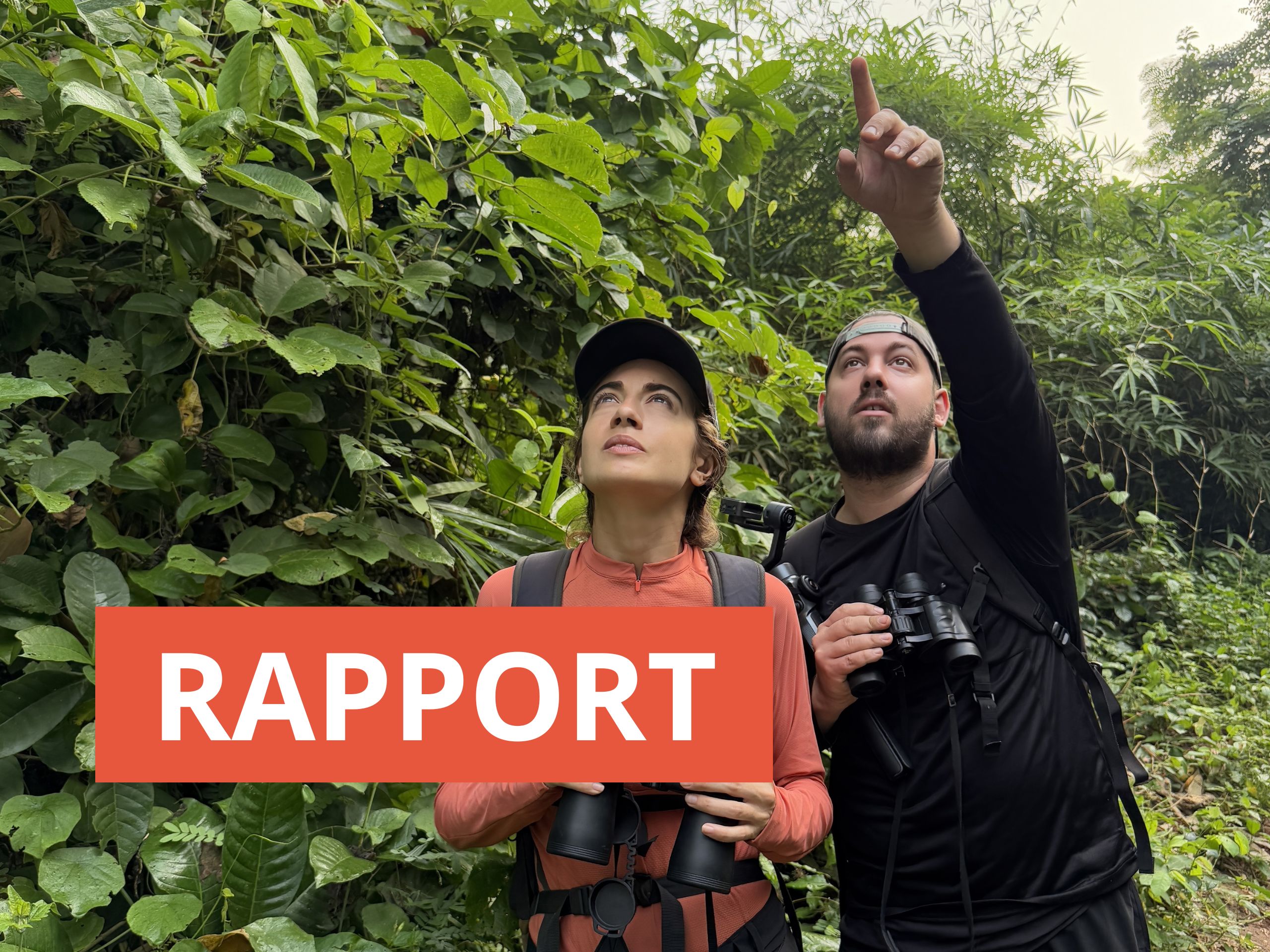 Rapport 2024 : le volontariat en action, un outil pour le renforcement des capacités
