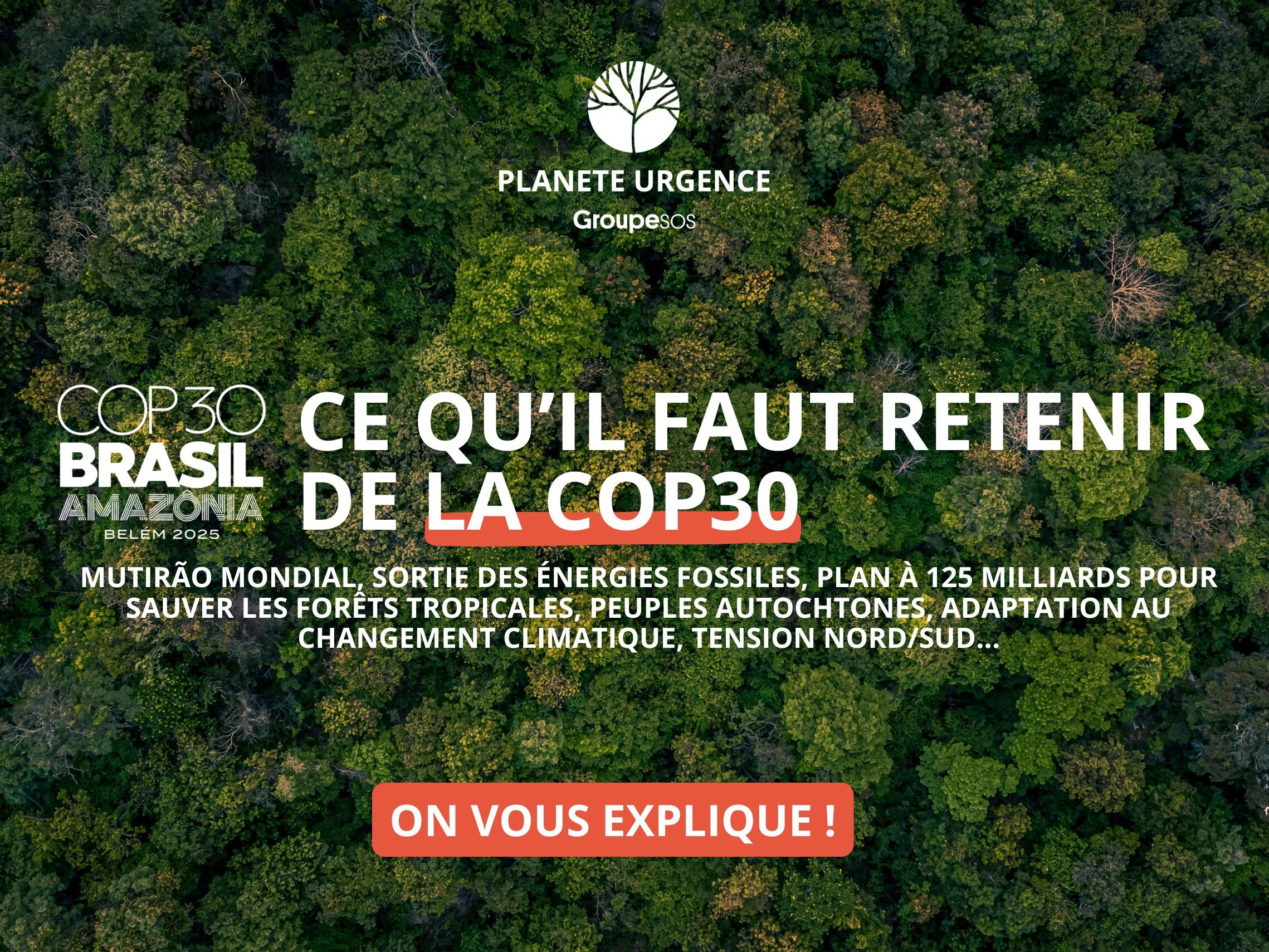 Fin de la COP30 : ce qu'il faut retenir