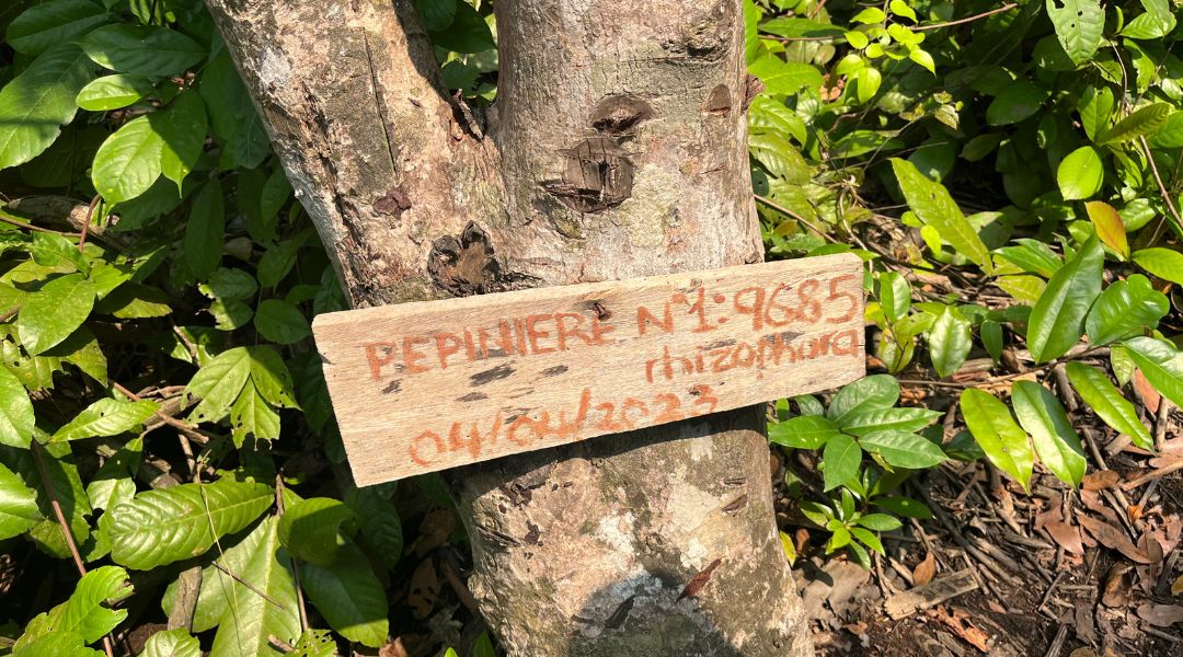 Formation à l’élaboration d’une stratégie de communication opérationnelle