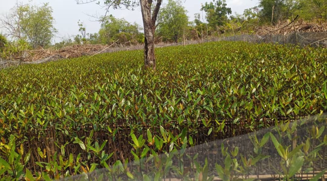Formation à l&rsquo;accompagnement de l&rsquo;élaboration d&rsquo;une nouvelle stratégie innovante.