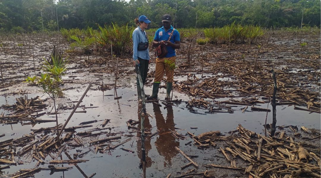 Formation en suivi & évaluation de projets