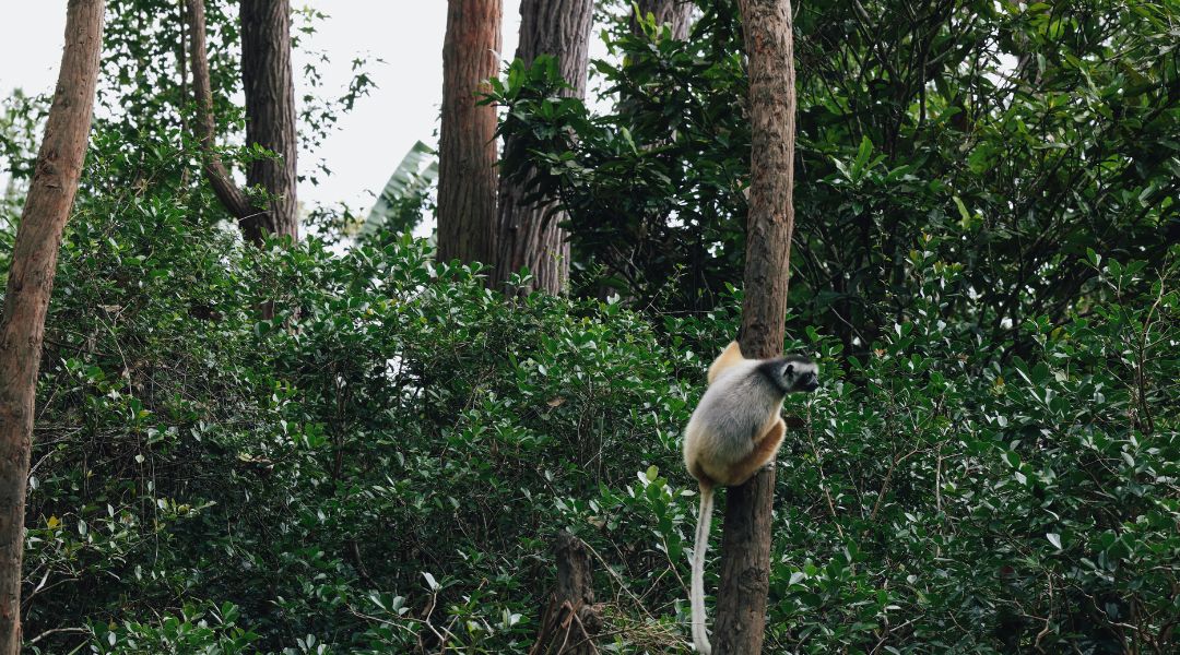 Formation à la création d’outils pour l’éducation à l’environnement et le développement durable