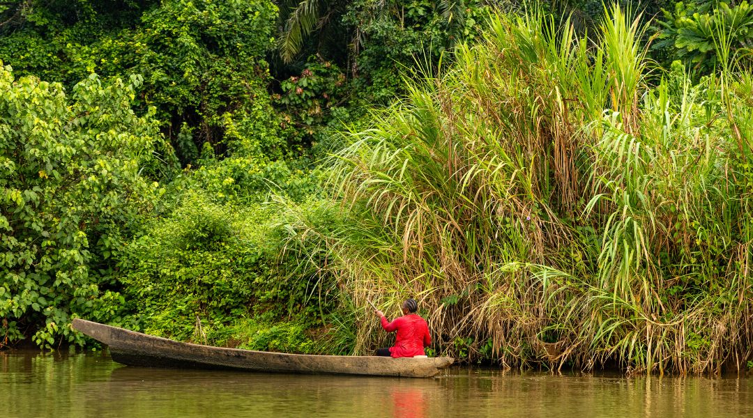 Formation à la création d&rsquo;outils de communication-RACINE