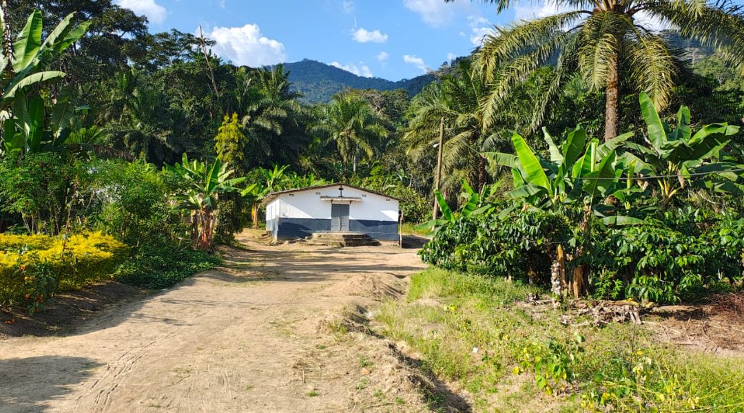 Formation en suivi et évaluation de projets