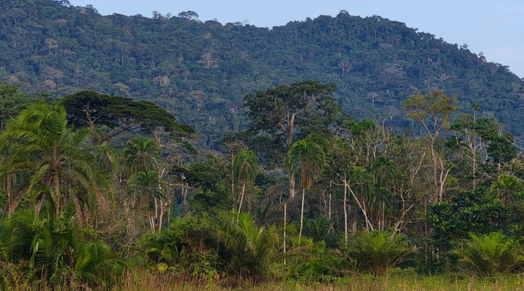 Formation à la mise en œuvre de la Théorie du Changement