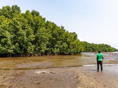 Planète Urgence lance une étude scientifique sur les liens entre communautés locales et mangroves au Cameroun