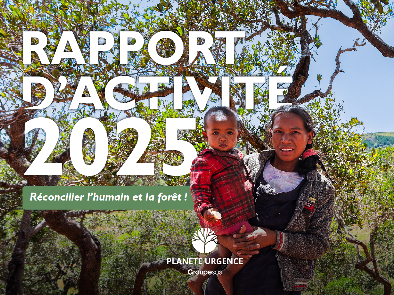 Rapport d'activité 2025 : une année d'impacts pour les forêts et les communautés