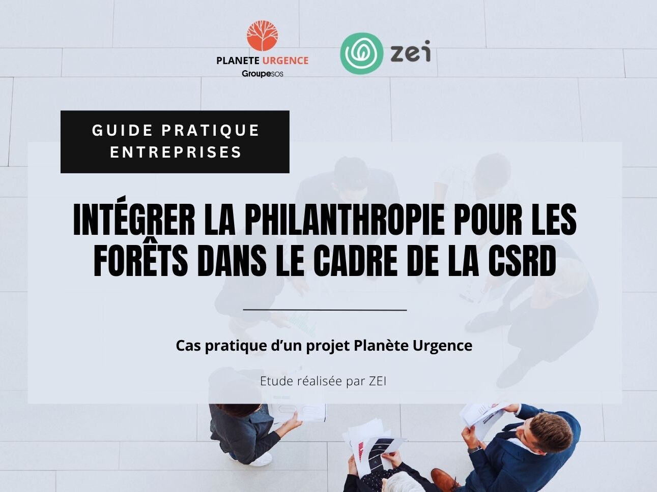 Guide pratique entreprise : intégrer la philanthropie pour les forêts dans le cadre de la CSRD