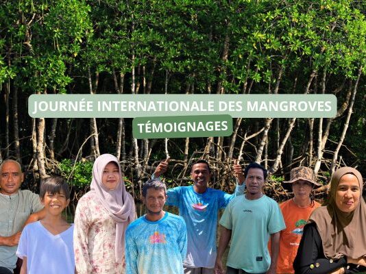 En Indonésie, ils vivent avec la mangrove : 6 histoires qui racontent un écosystème à protéger